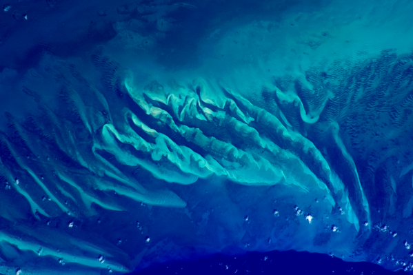 Stunning Snapshot of Caribbean Coral Reefs from Space – Caribbean ...